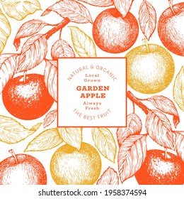 Plantilla de diseño de ramas de Apple. Ilustración de frutas vectoriales dibujadas a mano. Banner botánico retro de fruta de estilo grabado.