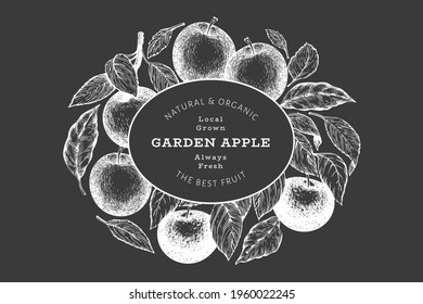 Apple branch design template. Hand drawn vector garden fruit illustration on chalk board. Engraved style fruit retro botanical banner.