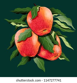 Apple Branch Hand Drawing Vintage Illustration Isolate On Dark Green Background.