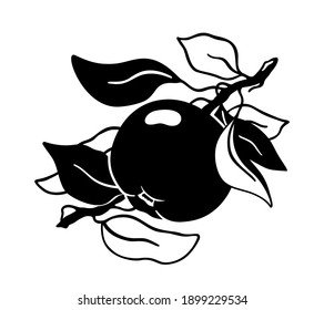 Apple, branch, leaves. Black graphic illustration of ripe fruit. Hand drawn silhouette. Botanic print, poster, tattoo, element for farm product packaging. Flat isolated vector icon, white background
