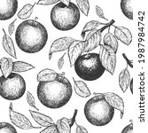 Apple branch seamless pattern. Hand drawn vector garden fruit illustration. Engraved style fruit retro botanical banner.