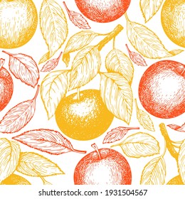 Apple branch seamless pattern. Hand drawn vector garden fruit illustration. Engraved style fruit retro botanical banner.