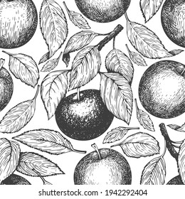 Apple branch seamless pattern. Hand drawn vector garden fruit illustration. Engraved style fruit retro botanical banner.