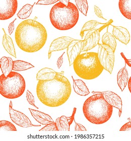 Apple branch seamless pattern. Hand drawn vector garden fruit illustration. Engraved style fruit retro botanical banner.