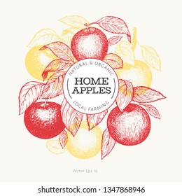 Apple branche design template. Hand drawn vector garden fruit illustration. Engraved style fruit frame. Vintage botanical banner.