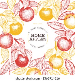 Apple branche design template. Hand drawn vector garden fruit illustration. Engraved style fruit frame. Vintage botanical banner.