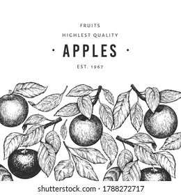 Apple branches design template. Hand drawn vector garden fruit illustration. Engraved style fruit frame. Vintage botanical banner.