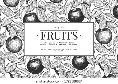 Apple branches design template. Hand drawn vector garden fruit illustration. Engraved style fruit frame. Vintage botanical banner.