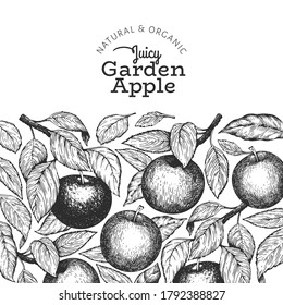 Apple branches design template. Hand drawn vector garden fruit illustration. Engraved style fruit frame. Vintage botanical banner.