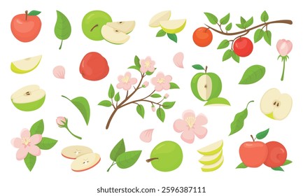 Apple branches. Garden elements, apples fruits, pink flowers and blossom tree branch. Agriculture, harvesting and planting, nature neoteric vector elements