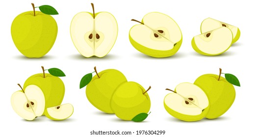 Apple. Bright vector set of colorful half, slice and segment of juicy green apple. Fresh cartoons apples on a white background.