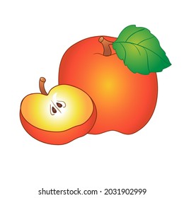 apple in cartoon style isolated on transparent background. vector illustration 