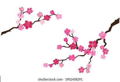 Apple Or Cherry Flowers, Branch  Blossom In Spring, Silhouette Of Twig With Flowers, Flat Style, Brown, Red And Pink Color, Isolated On White Background