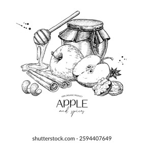 Apple and cinnamon vector drawing. Fruit and winter spices sketch. Whole and sliced apple, cinnamon sticks, cloves, star anise, honey spoon and jar. Hand drawn ingredients for pie, mulled wine, tea.