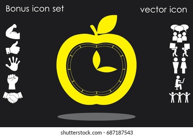 apple, clock icon vector illustration EPS 10