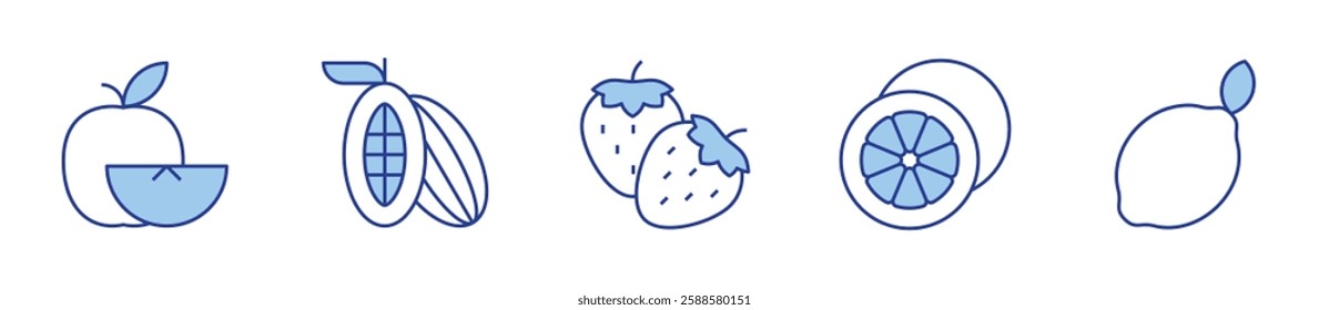 apple, cocoa, fruit, lime, strawberry. Fruits Icon vector illustration. Line Duotone style. Editable stroke.