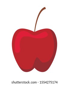 apple of color red on white background vector illustration design