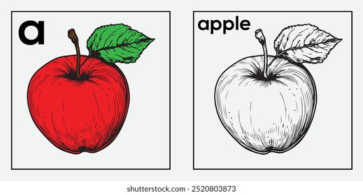 apple coloring page  simple art  black and white on white background
