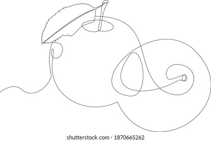 Apple continuous line drawing, minimalistic linear illustration made of one line. Modern single line draw graphic design vector illustration