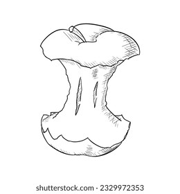 Apple core. Vector illustration. Isolated on white. Hand-drawn style.