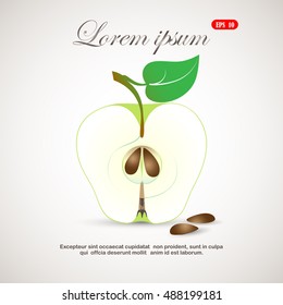 an apple in a cut,  flat icon, isolated 
