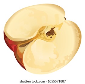 Apple cut red vector illustration on white background