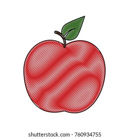 Apple delicious fruit