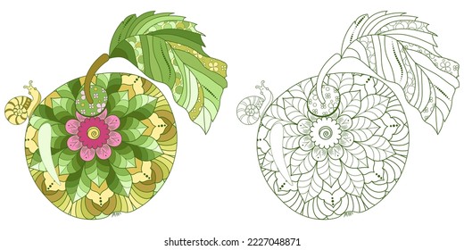 An apple with a doodle pattern and a snail on a white background. Anti-stress coloring book for children and adults. Decorative element for design