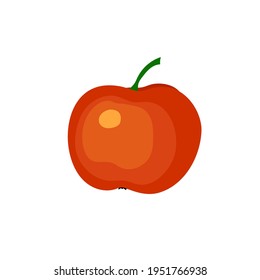 dibujo de manzana sobre fondo blanco, ilustración vectorial