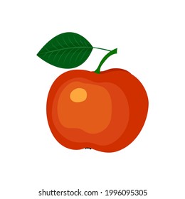 apple drawing on white background, vector illustration