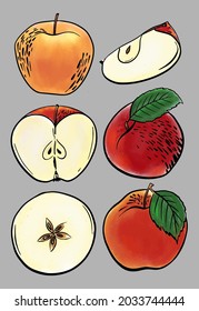 The apple is drawn with a black line. Colored, watercolor. Vector.