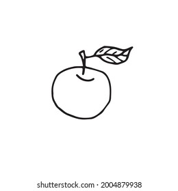 An apple drawn in a vector