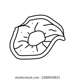 vector de icono de línea de fruta seca de manzana. signo de fruta seca de manzana. símbolo de contorno aislado ilustración negra