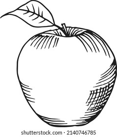 Apple engraving. Knowledge symbol. Hand drawn fruit