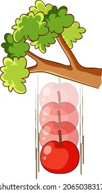 An apple falling from a tree on white background illustration