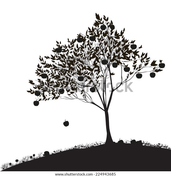 リンゴがリンゴの木から落ちる 白黒の影 草の上のリンゴ 自然の産物 収穫 ベクター画像 のベクター画像素材 ロイヤリティフリー