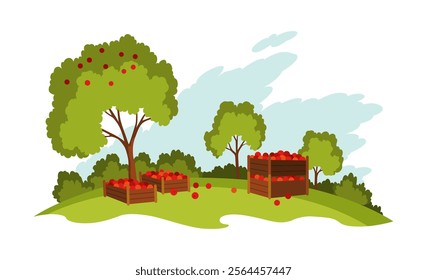 Apple farm landscape. Agriculture field, rural nature scene. Ruralfield panorama growing apples