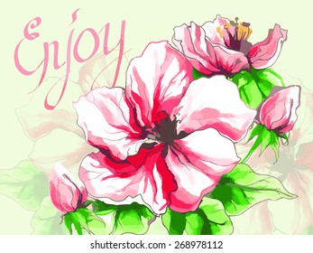 Apple flower in blossom