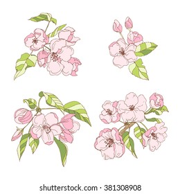 Sakura Flowers Spring Background Stock Vector (Royalty Free) 422724016
