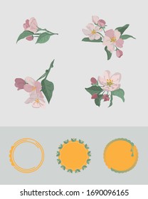 Apple flower branches in different arrangement. Set of blush pink flowers for greeting card design. Round frame emblems. 