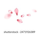 Apple flower flying petals isolated on white. Idyllic beauty salon background. Japanese sakura petals spring confetti, blossom elements flying. Falling cherry bloom flower parts vector.