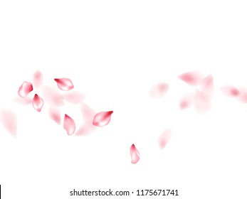 Apple flower flying petals isolated on white. Colorful beauty salon background. Japanese sakura petals seasonal confetti, blossom elements flying. Falling cherry blossom flower parts vector.