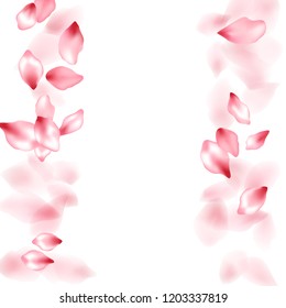 Apple flower flying petals isolated on white. Magic floral background. Japanese sakura petals seasonal confetti, blossom elements flying. Falling cherry blossom flower parts design.