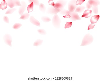 Apple flower flying petals isolated on white. Natural floral background. Japanese sakura petals spring confetti, blossom elements flying. Falling cherry blooming flower parts vector.