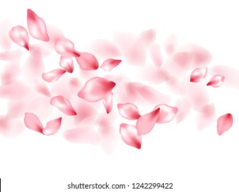 Apple flower flying petals isolated on white. Realistic beauty salon background. Japanese sakura petals seasonal confetti, blossom elements flying. Falling cherry blooming flower parts design.