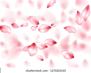 Apple flower flying petals isolated on white. Idyllic floral background. Japanese sakura petals springtime confetti, blossom elements flying. Falling cherry blossom flower parts design.