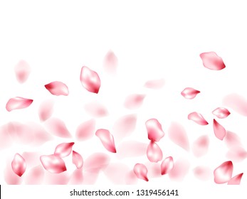 Apple flower flying petals isolated on white. Romantic floral background. Japanese sakura petals springtime confetti, blossom elements flying. Falling cherry bloom flower parts vector.