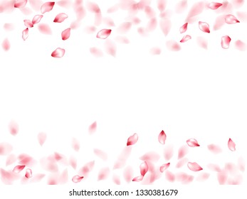 Apple flower flying petals isolated on white. Realistic floral background. Japanese sakura petals springtime confetti, blossom elements flying. Falling cherry blossom flower parts design.
