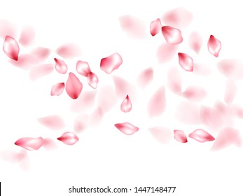 Apple flower flying petals isolated on white. Stylish beauty salon background. Japanese sakura petals springtime confetti, blossom elements flying. Falling cherry blossom flower parts design.