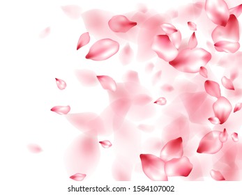 Apple flower flying petals isolated on white. Tender beauty salon background. Japanese sakura petals spring confetti, blossom elements flying. Falling cherry blossom flower parts vector.